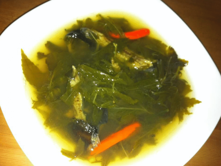 Roselle-soup