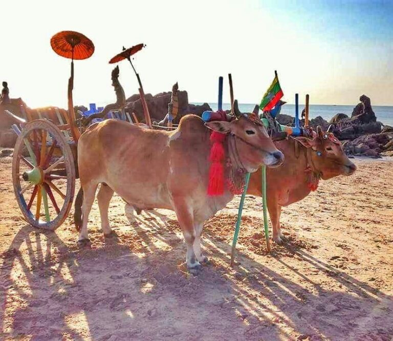 chaung-tha-07